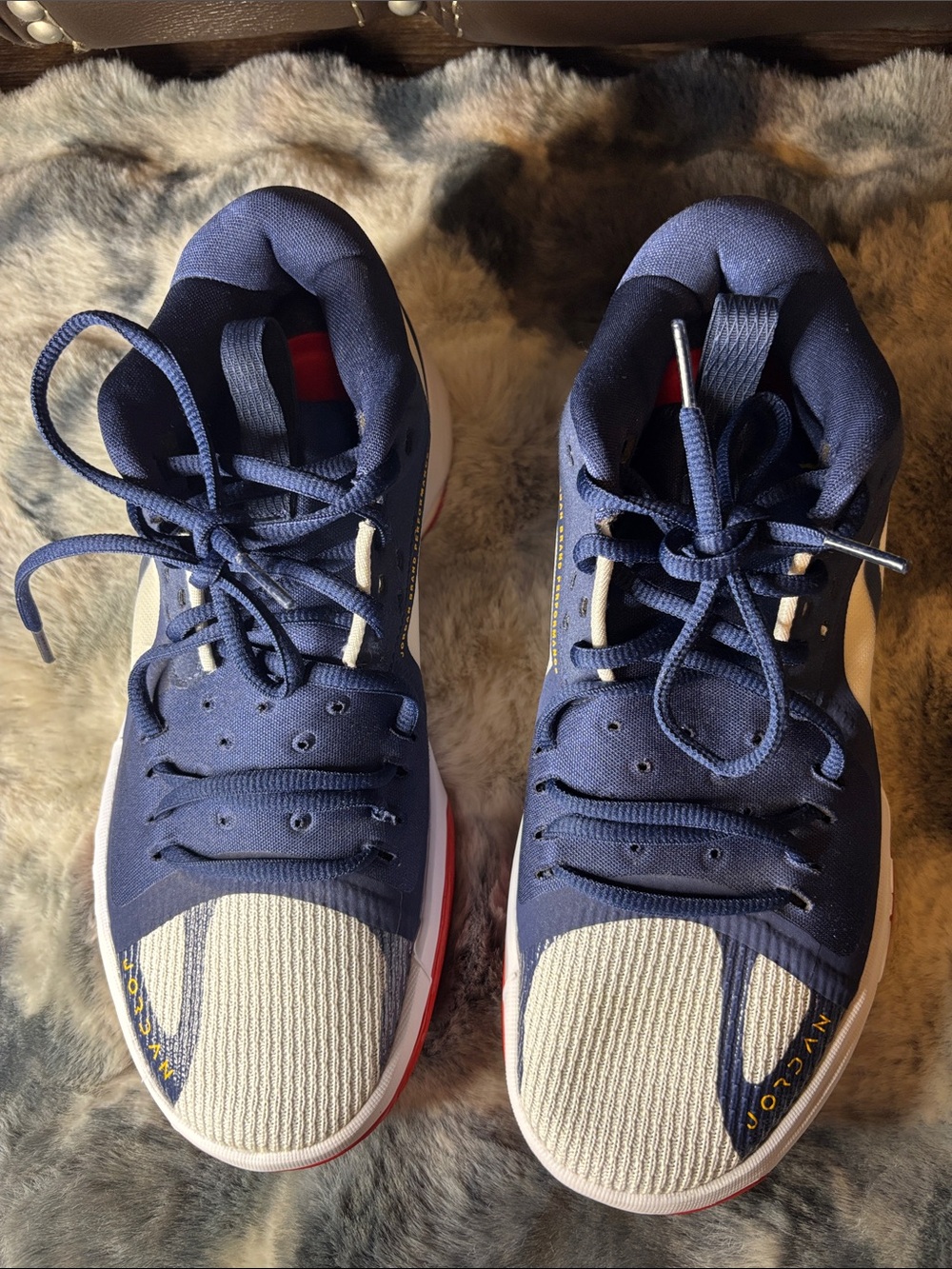 Jordan Men's Navy Blue, White & Red Athletic Sneakers